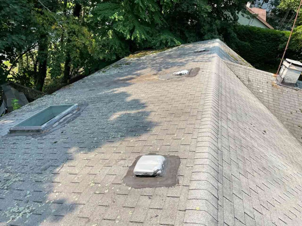Roof and skylight needing repairs