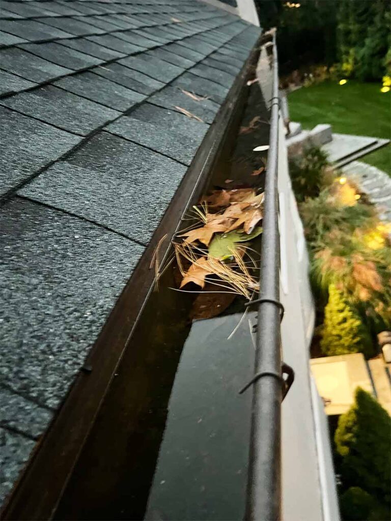 Leaves clogging gutters on roof