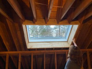 woman overseeing skylight replacement