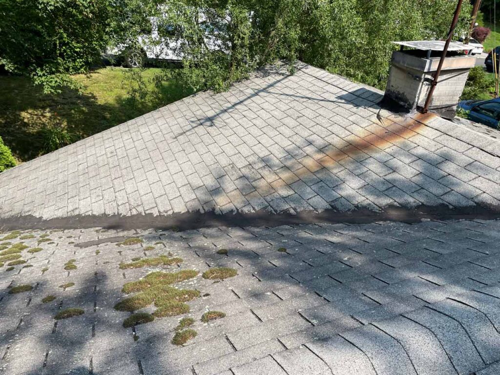 Moss and rust stains on a roof