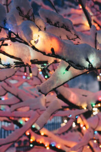 Christmas lights on snowy branch.