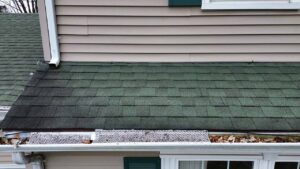 Clogged gutters on roof